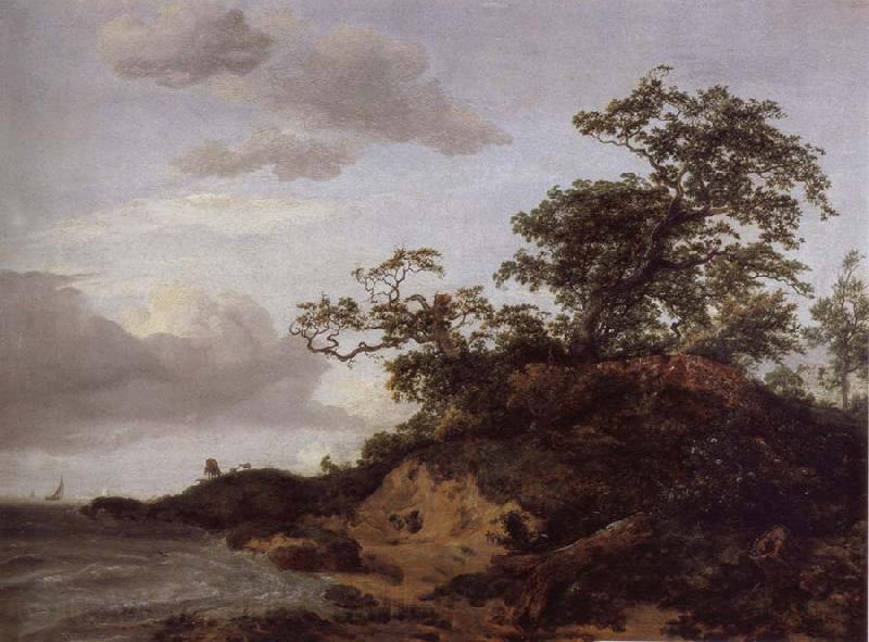 Jacob van Ruisdael Dunes by the sea France oil painting art
